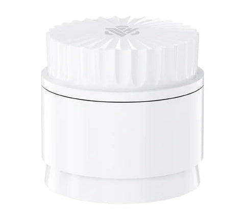 Moledor Dream High Ceramico 3.0 - BaePinkMoledor